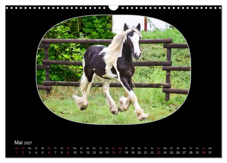 InsideView 10