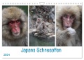 Japans Schneeaffen (Wandkalender 2024 DIN A4 quer), CALVENDO Monatskalender - Reeh Reeh