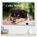 Collie Welpen zum Verlieben (hochwertiger Premium Wandkalender 2024 DIN A2 quer), Kunstdruck in Hochglanz - Thomas Quentin