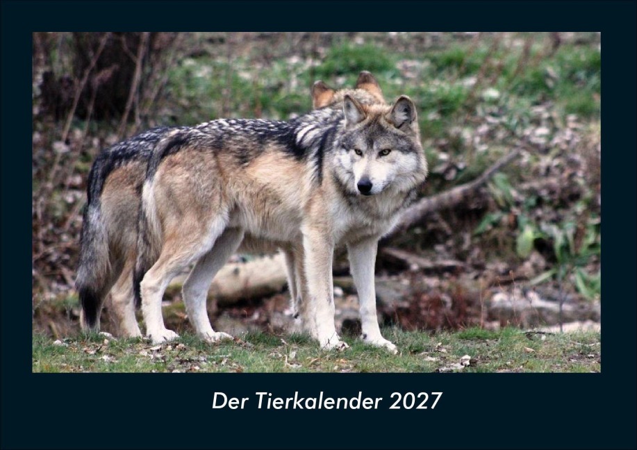 Der Tierkalender 2027 Fotokalender DIN A4 - Tobias Schmitt, Kevin Heber