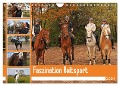 Faszination Reitsport (Wandkalender 2024 DIN A4 quer), CALVENDO Monatskalender - Babett Paul - Babetts Bildergalerie