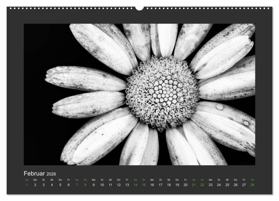 InsideView 6