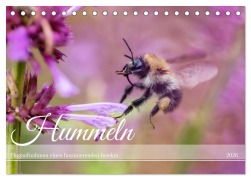 Cover-Bild zum Titel 'Hummeln - Flugaufnahmen eines faszinierenden Insekts (Tischkalender 2026 DIN A5 quer), CALVENDO Monatskalender' von 'Christian Müller'