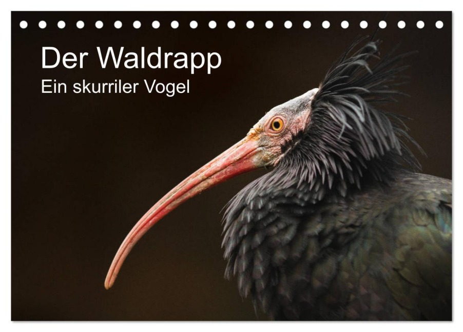 Der Waldrapp - Ein skurriler Vogel (Tischkalender 2026 DIN A5 quer), CALVENDO Monatskalender - Cloudtail The Snow Leopard