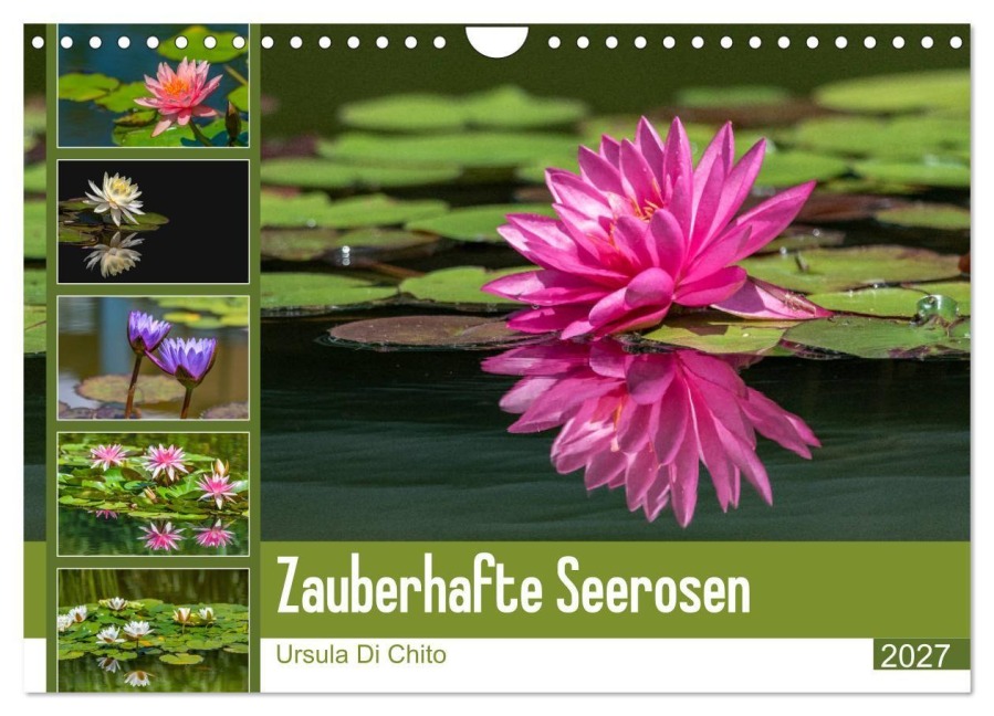 Zauberhafte Seerosen (Wandkalender 2027 DIN A4 quer), CALVENDO Monatskalender - Ursula Di Chito