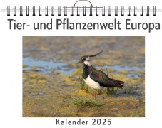 Cover-Bild zum Titel 'Tier- und Pflanzenwelt Europa' von 'Julia Schmid'