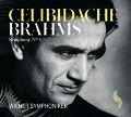 Sinfonie 1 - J. Brahms