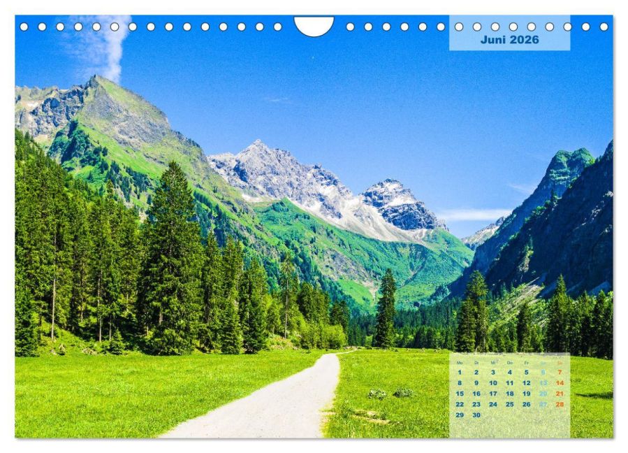 InsideView 11