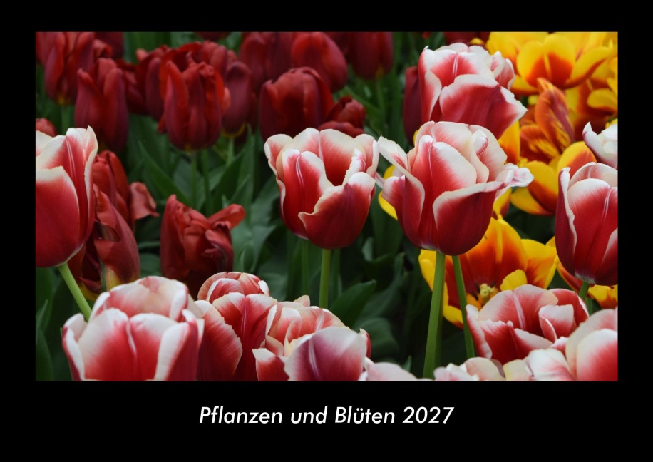 Pflanzen und Blüten 2027 Fotokalender DIN A3 - Tobias Becker
