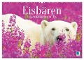 Eisbären: Lebenskünstler im Eis (Wandkalender 2025 DIN A2 quer), CALVENDO Monatskalender - Calvendo Calvendo