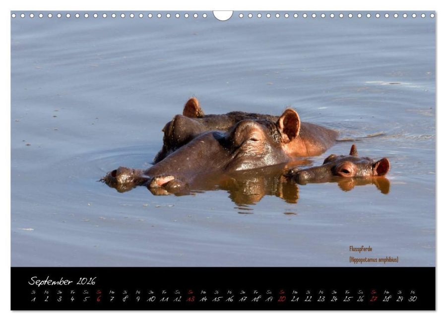InsideView 14