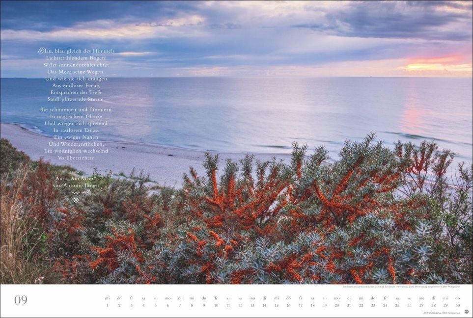 InsideView 9