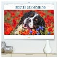 Berner Sennenhund - Eine Liebe für¿s Leben (hochwertiger Premium Wandkalender 2025 DIN A2 quer), Kunstdruck in Hochglanz - Sigrid Starick