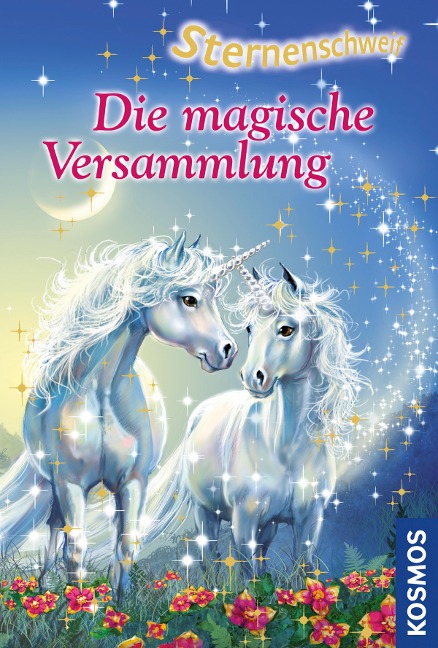 Sternenschweif 17. Die magische Versammlung - Linda Chapman