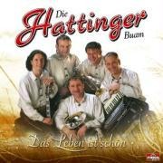 Das Leben Ist Schön - Die Hattinger Buam