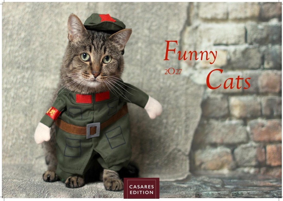 Funny Cats Kalender 2027 - Wandkalender | Fotokalender Tierkalender 24x35cm - Witziger Katzenkalender - 