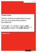 Cover-Bild zum Titel 'Können zwischenstaatliche Beziehungen den Einsatz privater Militäranbieter beeinflussen?' von 'Claudio Salvati'