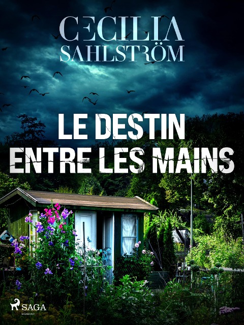 Le Destin entre les mains - Cecilia Sahlström