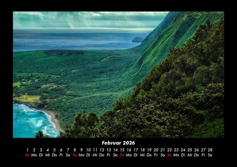 InsideView 6