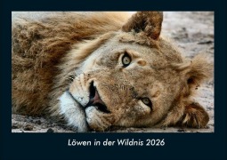 Cover-Bild zum Titel 'Löwen in der Wildnis 2026 Fotokalender DIN A4' von 'Tobias Becker'