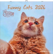Funny Cats 2026 - Broschürenkalender 30x30 cm (30x60 geöffnet) - Kalender mit Platz für Notizen - Katzen - Bildkalender - Wandplaner - Katzenkalender - 