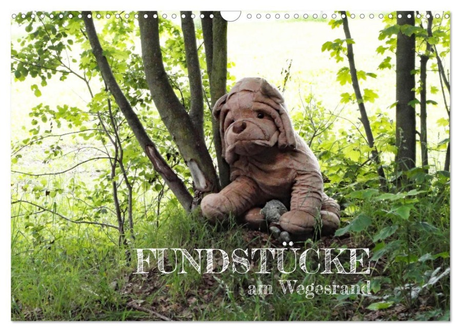 FUNDSTÜCKE am Wegesrand (Wandkalender 2026 DIN A3 quer), CALVENDO Monatskalender - Angelika Keller