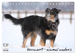 Hovawarte - einmal anders (Tischkalender 2026 DIN A5 quer), CALVENDO Monatskalender - Barbara Mielewczyk