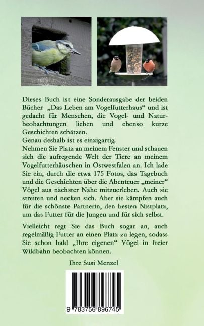 InsideView 1