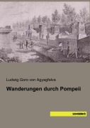 Cover-Bild zum Titel 'Wanderungen durch Pompeii' von 'Ludwig Goro von Agyagfalva'