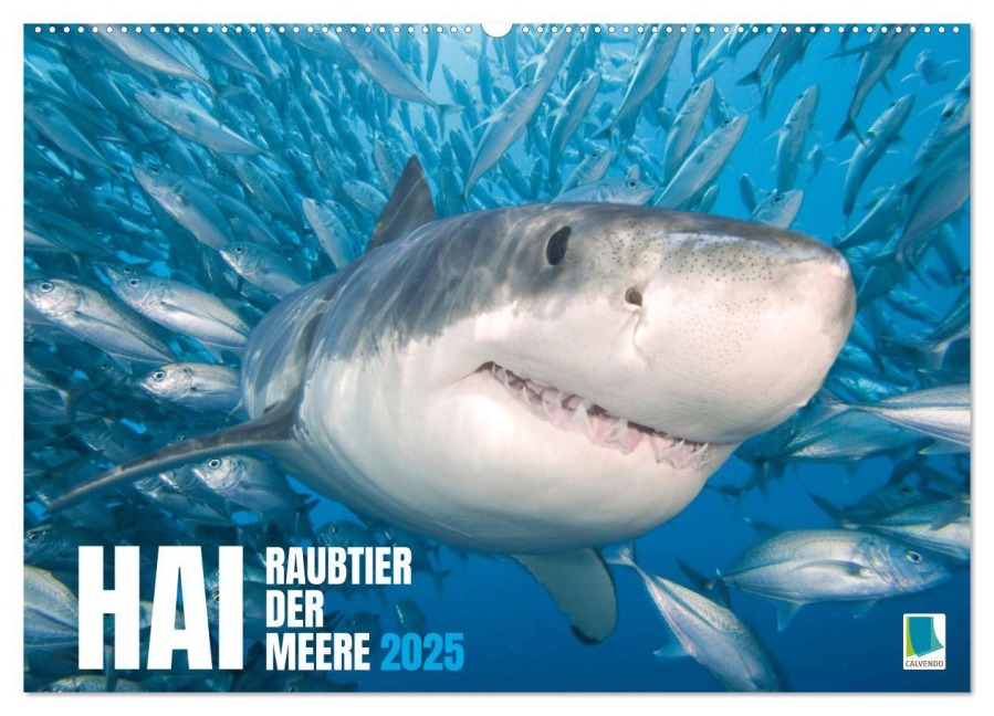 Hai: Raubtier der Meere (Wandkalender 2025 DIN A2 quer), CALVENDO Monatskalender - Calvendo Calvendo