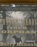 Yonder Stands Your Orphan - Barry Hannah