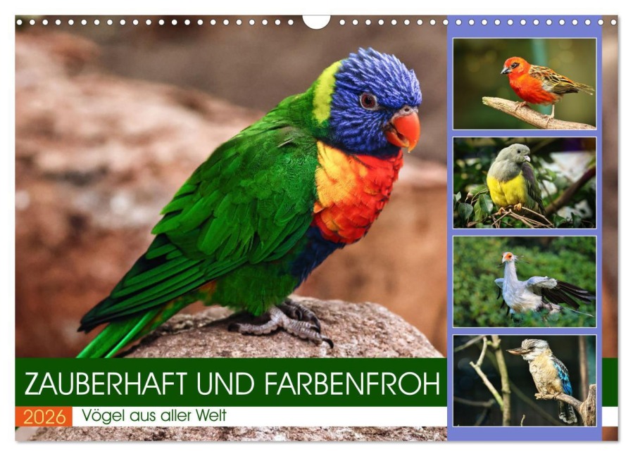 Zauberhaft und farbenfroh (Wandkalender 2026 DIN A3 quer), CALVENDO Monatskalender - Sabine Löwer
