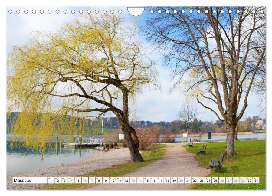 InsideView 8