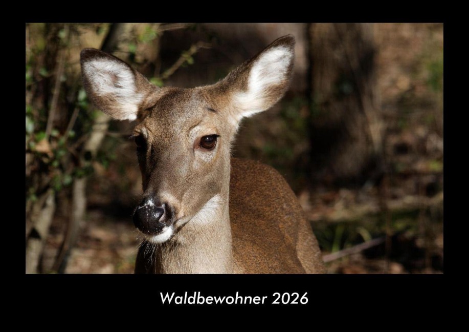 Waldbewohner 2026 Fotokalender DIN A3 - Tobias Becker