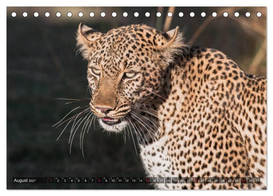 InsideView 13