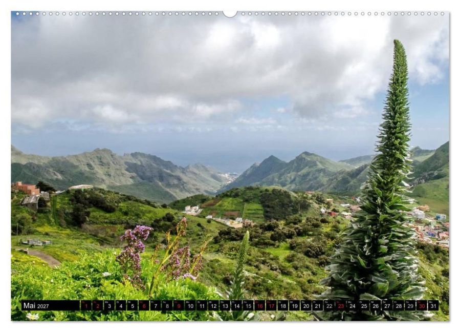 InsideView 10