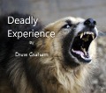 Deadly Experience - Drew Graham