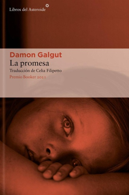 La Promesa - Damon Galgut