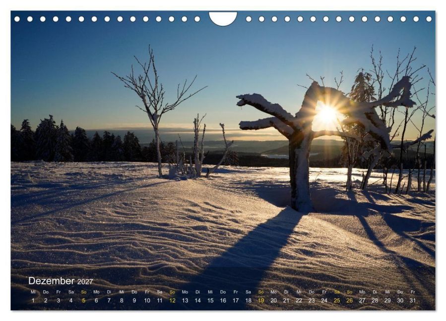 InsideView 4