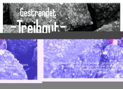 Gestrandet -Treibgut- (Wandkalender 2026 DIN A2 quer), CALVENDO Monatskalender - Ralf Mock