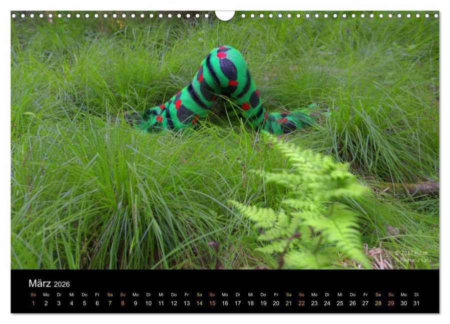 InsideView 8