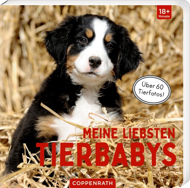 Meine liebsten Tierbabys - 