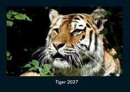 Cover-Bild zum Titel 'Tiger 2027 Fotokalender DIN A4' von 'Tobias Schmitt, Kevin Heber'