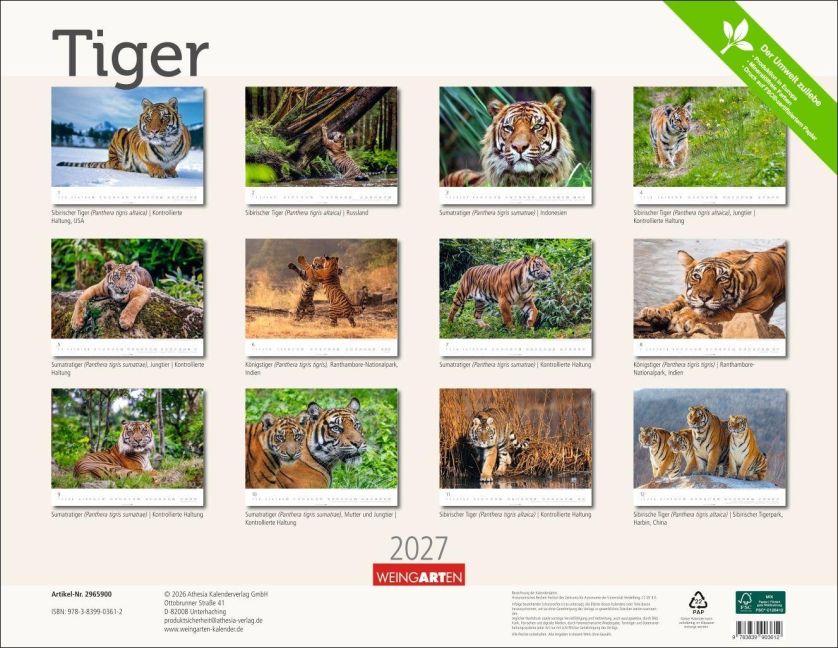 InsideView 15