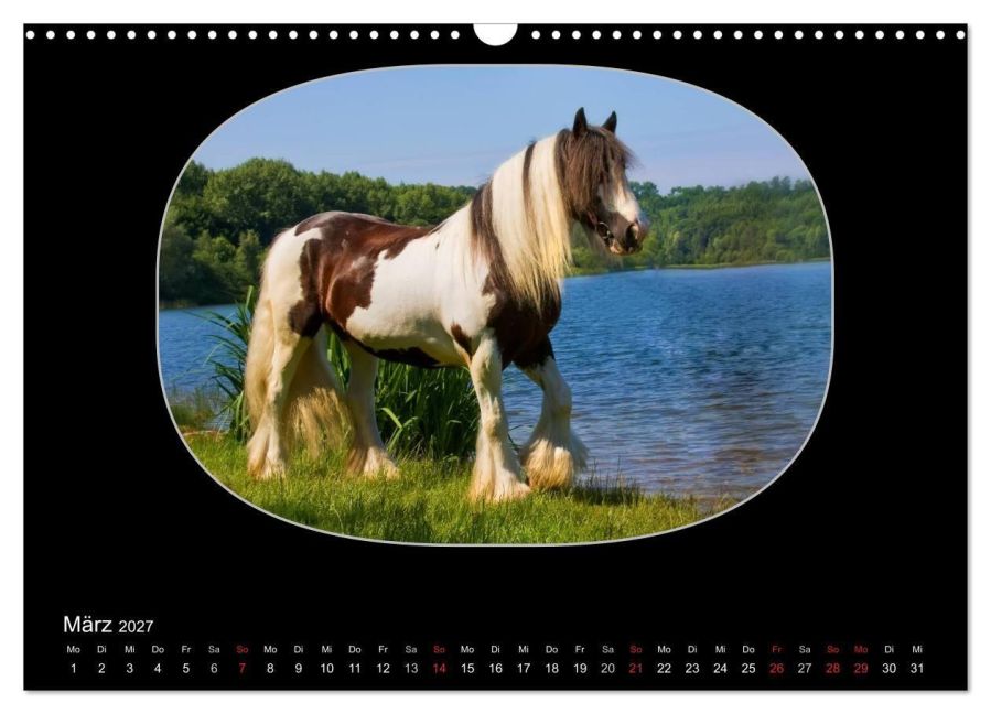 InsideView 8