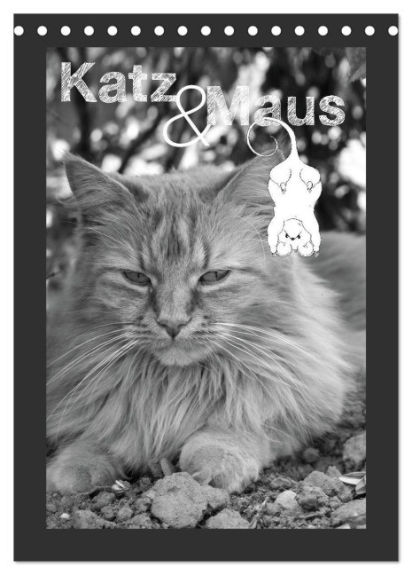 Katz & Maus (Tischkalender 2026 DIN A5 hoch), CALVENDO Monatskalender - Julia Schäfer