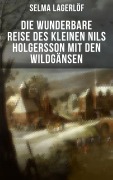 Cover-Bild zum Titel 'Die wunderbare Reise des kleinen Nils Holgersson mit den Wildgänsen' von 'Selma Lagerlöf'