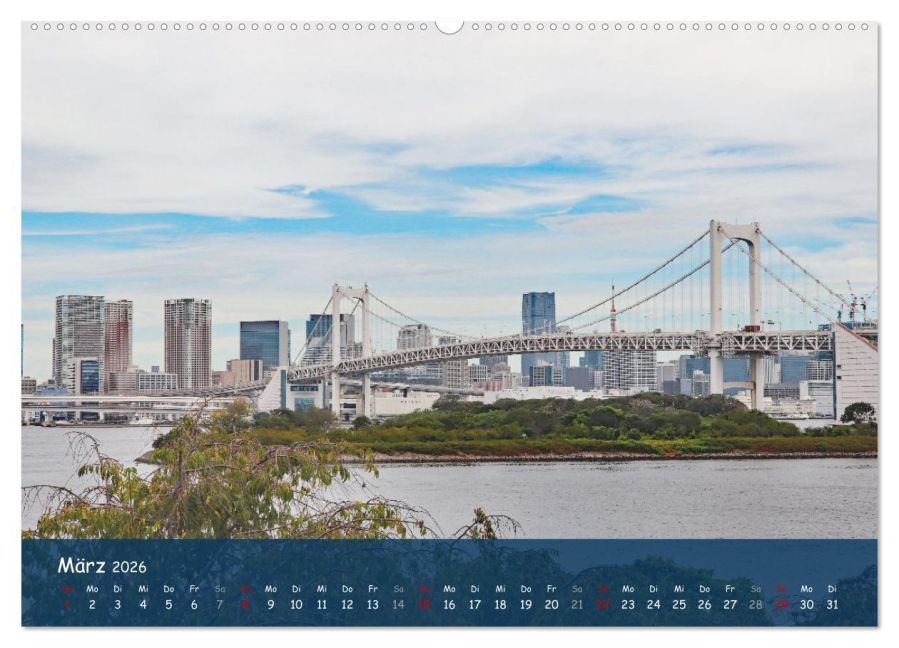 InsideView 8
