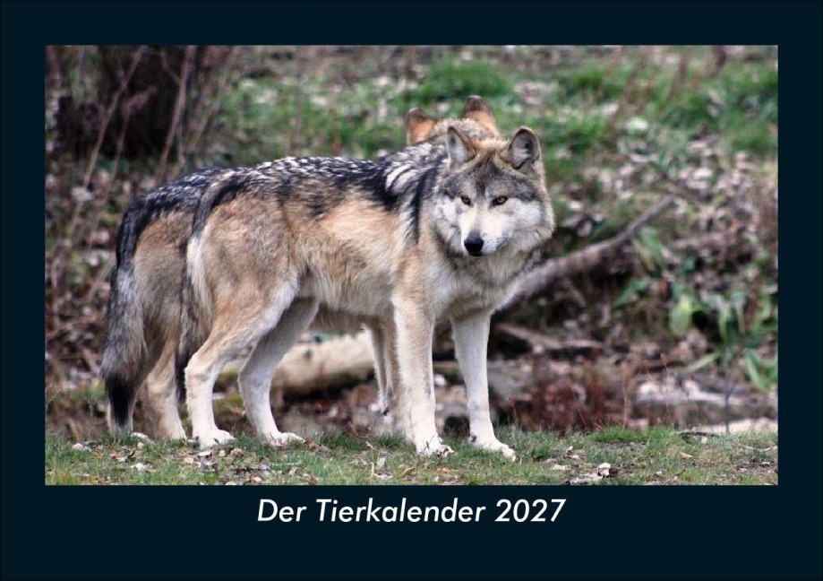 Der Tierkalender 2027 Fotokalender DIN A5 - Tobias Schmitt, Kevin Heber