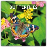 Butterflies - Schmetterlinge 2026 - 16-Monatskalender - Robin Red